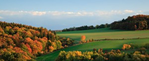 Northeast Extension Risk Management Education