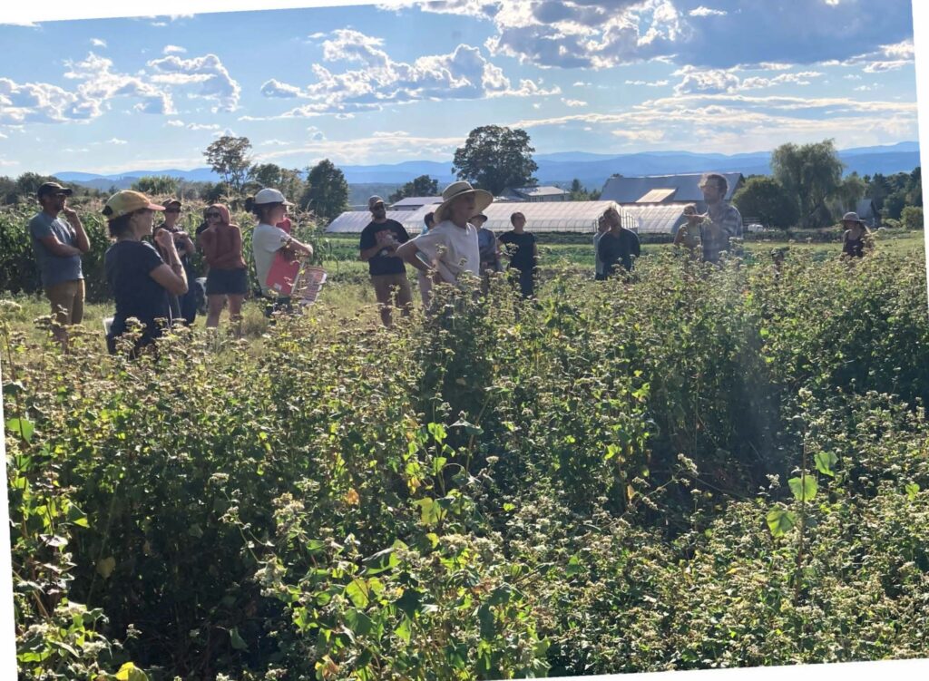 group of people in a field