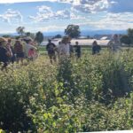 Grubinger – Blackbird farm workshop buckwheat2